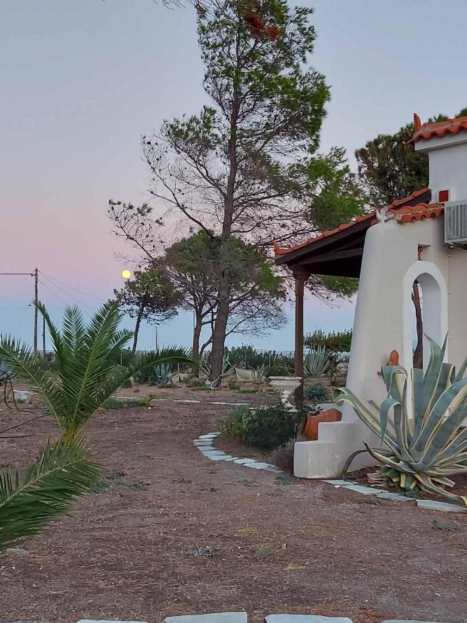 Vintage Beach House Agia Anna  Exteriér fotografie