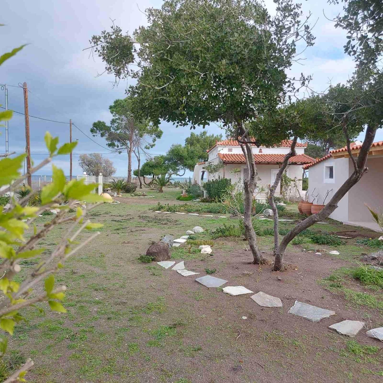 Vintage Beach House Agia Anna  Exteriér fotografie